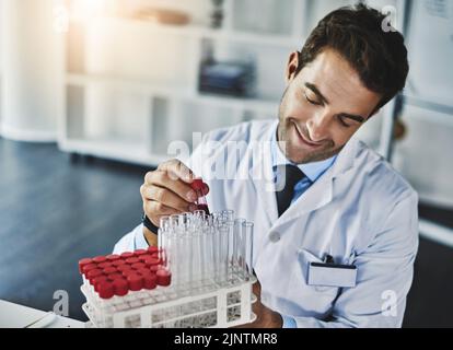 He works in an orderly manner. a scientist analyzing medical samples in a lab. Stock Photo