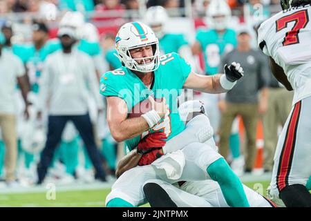 Tampa Bay, Florida, USA, August 13, 2022, Miami Dolphins Quarterback Skylar Thompson #19 gets sacked at Raymond James Stadium.  (Photo Credit:  Marty Jean-Louis) Credit: Marty Jean-Louis/Alamy Live News Stock Photo