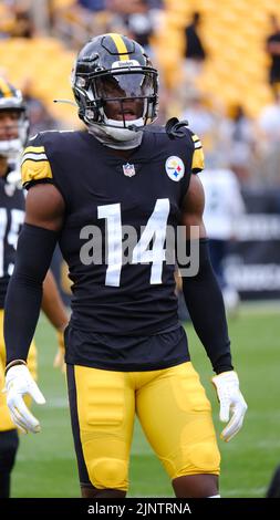 Pittsburgh Steelers wide receiver George Pickens (14) blocks during an NFL  football game, Sunday, Dec. 11, 2022, in Pittsburgh, PA. (AP Photo/Matt  Durisko Stock Photo - Alamy