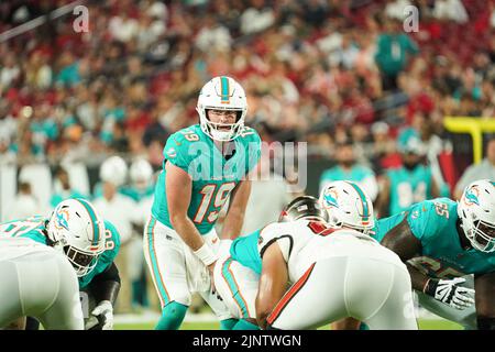 Tampa Bay, Florida, USA, August 13, 2022, Miami Dolphins Quarterback Skylar Thompson #19 readies to receive the ball at Raymond James Stadium.  (Photo Credit:  Marty Jean-Louis) Credit: Marty Jean-Louis/Alamy Live News Stock Photo