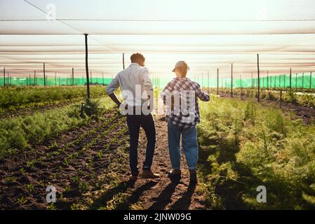Young farmers working inside of a greenhouse in serious discussion about eco friendly organic agriculture they are planning on farming. Rear view of a Stock Photo