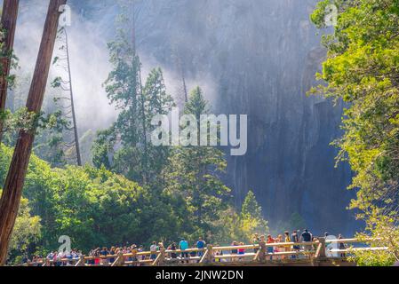 California, USA - July 2, 2017.Tourists At The Trail With The Tall Forest Of Sequoias, Yosemite National Park, California. Yosemite Valley, Stock Photo