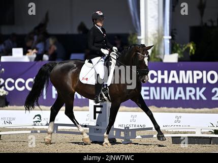Herning, Denmark. 13th Aug, 2022. World Equestrian Games.Roberta Sheffield (CAN) riding FAIRUZA during the FEI Para Dressage Team championships - Grade III. Credit: Sport In Pictures/Alamy Live News Stock Photo