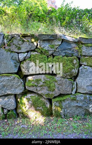 big old wall made of stones covered in moss Stock Photo