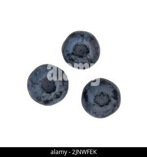 fresh blueberries isolated on white background, ripe berries, macro shot of three blueberries top view Stock Photo