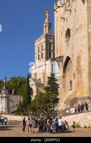 Tourists gathered in front of the Palais des Papes - Palace of the Popes with the bell tower of the Avignon cathedral behind.  Avignon, Vaucluse, Fran Stock Photo