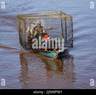 Central Kalamantan, Indonesia, May 20, 2022 - Men take their fish trap out to where it will be dropped. Stock Photo