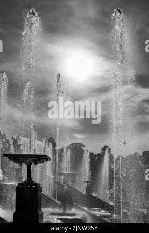 22 June 2022, Peterhof, Saint Petersburg, Russia. Jets of water from the fountain bowls of great cascade in Peterhof, Russia. Black and white HDR phot Stock Photo