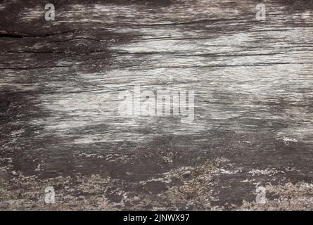 Old wood background with copy space, Closeup Stock Photo