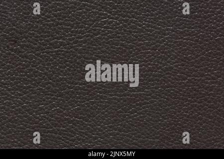 Classic leather texture in beautiful grey colour. Stock Photo
