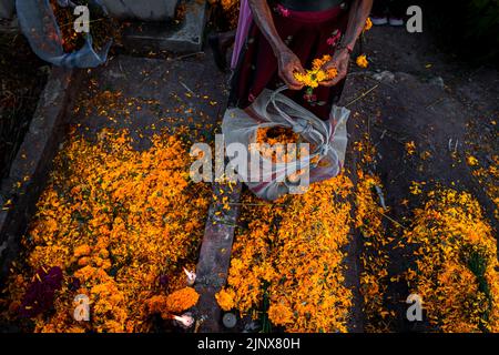 A Mixtec indigenous woman decorates a grave at a cemetery during the Day of the Dead celebrations in Xalpatláhuac, Guerrero, Mexico. Stock Photo