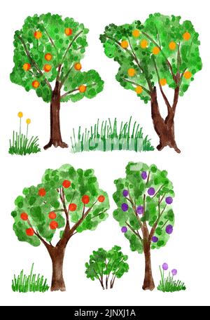 Peach Tree Stock Illustrations – 9,084 Peach Tree Stock Illustrations,  Vectors & Clipart - Dreamstime