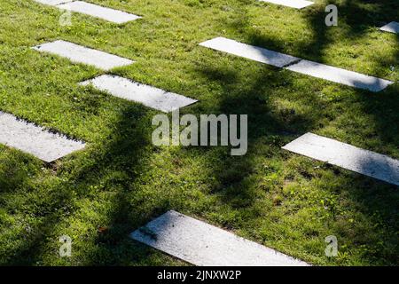 Green lawn and paving slabs with shadows from trees in backyard. Concrete pavement tiles on green grass lawn as landscaping desing element Stock Photo