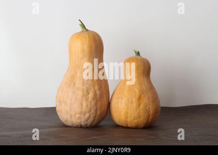 Butternut pumpkin on wooden table front white wall. Stock Photo