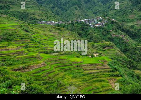 Rice terraces at Maligcong in northern Luzon, Philippines. Stock Photo