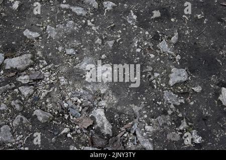Gray dry soil with stones Stock Photo