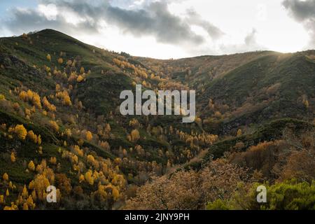 Autumn landscape in the Caurel mountains, Galicia, Spain Stock Photo