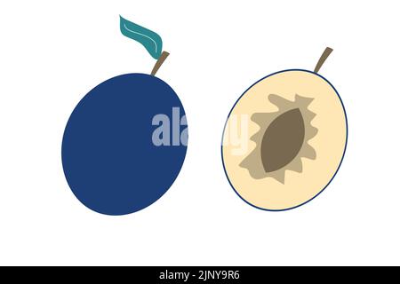 A whole plum and a piece of plum on an isolated white background. Flat vector illustration. Stock Vector