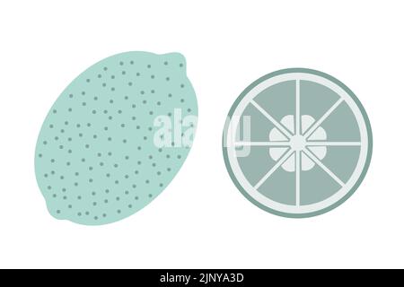 A whole lime and a slice of lime on an isolated white background. Flat vector illustration. Stock Vector