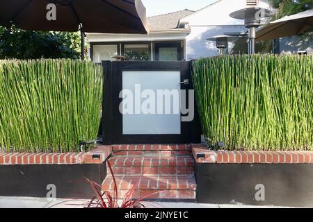 Modern glass garden gate bordered with bamboo hedge Stock Photo