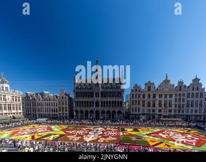 Flower carpet 2022 edition at Grand-Place of Brussels, Belgium Stock Photo