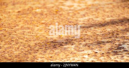 Layer of metal with selective focus. Background for industrial metalworking industry or your creative design Close-up view. Industrial background. Sel Stock Photo