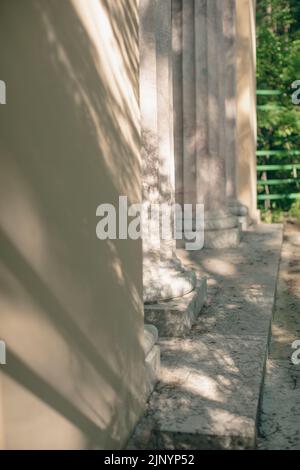 Shadows from trees on a plastered wall Stock Photo