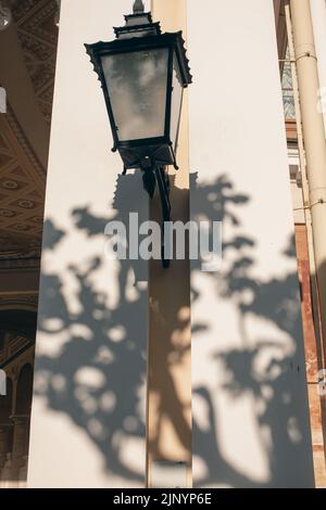 Shadows from trees on a plastered wall Stock Photo