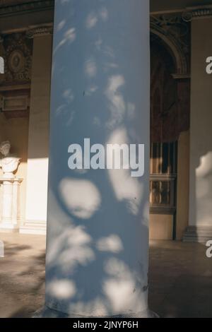 Shadows from trees on a plastered wall Stock Photo