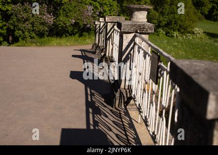 Shadows from trees on a plastered wall Stock Photo