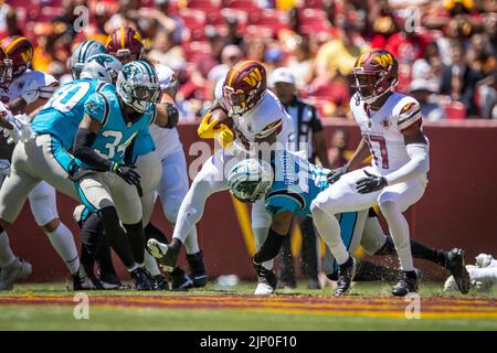 Carolina Panthers cornerback Myles Hartsfield (38) stands with teammates  during an NFL football game against the Cincinnati Bengals, Sunday, Nov. 6,  2022, in Cincinnati. (AP Photo/Emilee Chinn Stock Photo - Alamy