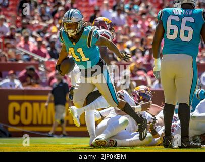 Carolina Panthers running back Spencer Brown (41) looks on against