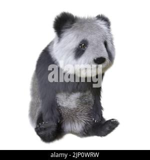 3D illustration panda cub isolated white background Stock Photo