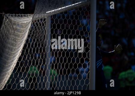 Rio De Janeiro, Brazil. 15th Aug, 2022. RJ - Rio de Janeiro - 08/14/2022 - BRAZILIAN A 2022, FLAMENGO X ATHLETICO-PR - Anderson goalkeeper for Athletico-PR during a match against Flamengo at the Maracana stadium for the Brazilian championship A 2022. Photo: Jorge Rodrigues/AGIF/Sipa USA Credit: Sipa USA/Alamy Live News Stock Photo