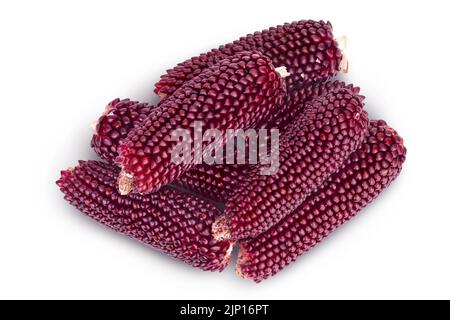 Purple corn or maize isolated on white background with full depth of field. Top view. Flat lay. Stock Photo