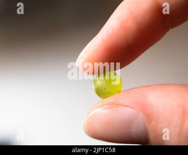 Details of fingers holding green grape Stock Photo