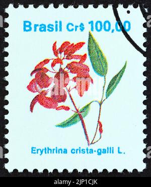 BRAZIL - CIRCA 1990: A stamp printed in Brazil from the 'Flowers' issue shows Erythrina crista-galli, circa 1990. Stock Photo