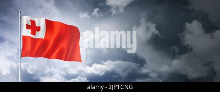 Tonga flag on a cloudy sky, three dimensional render Stock Photo