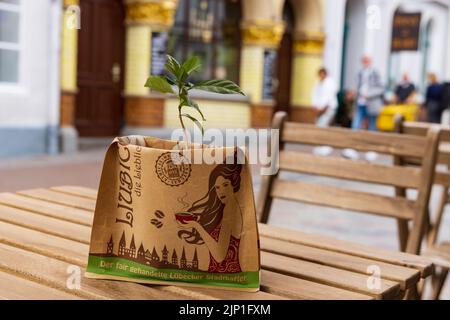 Lubeck, Germany - July 30, 2022: Vintage paper bag with small coffee plant at table of cafe corner in Lubeck Schleswig-holstein in northern Germany Stock Photo