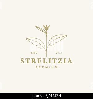 aesthetic flower strelitzia logo design Stock Vector