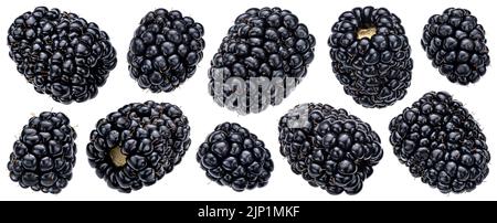 Blackberry isolated on white background with clipping path Stock Photo