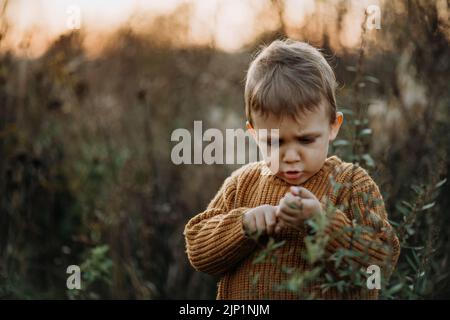 Portrait of cute little boy wearing knitted sweater in nautre, autumn concept. Stock Photo