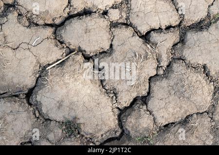 Dried Earth Stock Photo