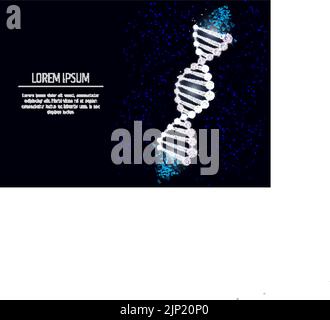 DNA low poly wireframe mesh made of points, lines and shapes. Vector polygonal art style design. Poster banner template with copy space. Stock Vector