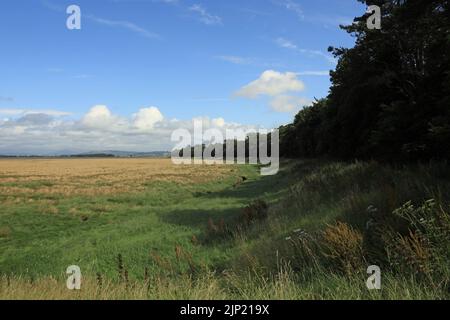 Salt marsh looking toward Milnthorpe Sands from near Carr Bank Arnside Cumbria England Stock Photo