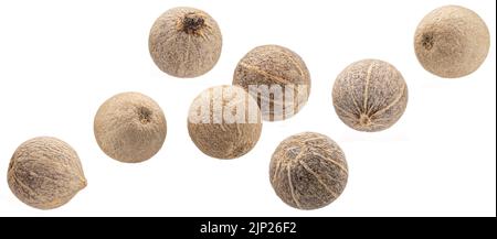 Falling white peppercorns isolated on white background Stock Photo