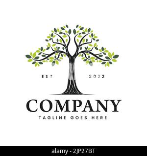 Vintage illustration of the Family Tree of Life logo Stamp Seal silhouette Oak Banyan Maple logo vector design Stock Vector