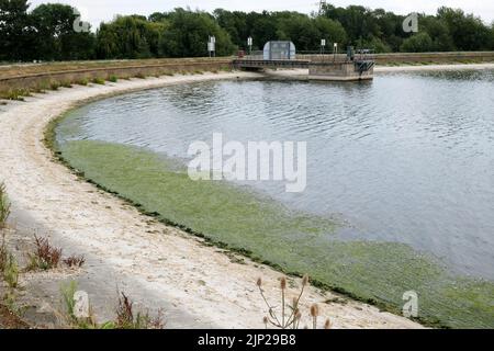 London, UK. 15th Aug 2022. UK Weather: drought warnings. Dry conditions causing algae on a reservor at Walthamstow Wetlands, north London.  Credit: Matthew Chattle/Alamy Live News Stock Photo