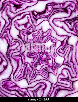 Extreme macro close-up of sliced red cabbage Stock Photo