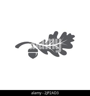 Oak leaf logo design template. Oak leaf with acorns graphic vector. Vector illustration Stock Vector